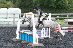 Class 5 - Fences not above 2'6